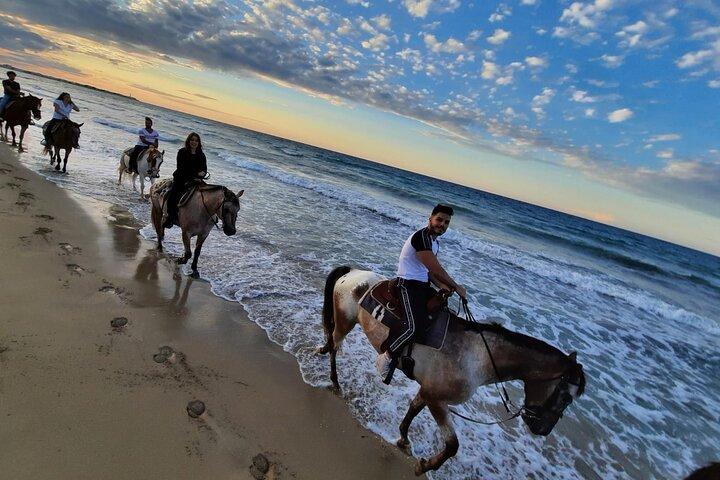 Horse ride of 2 hours in the Coastal Dunes Park