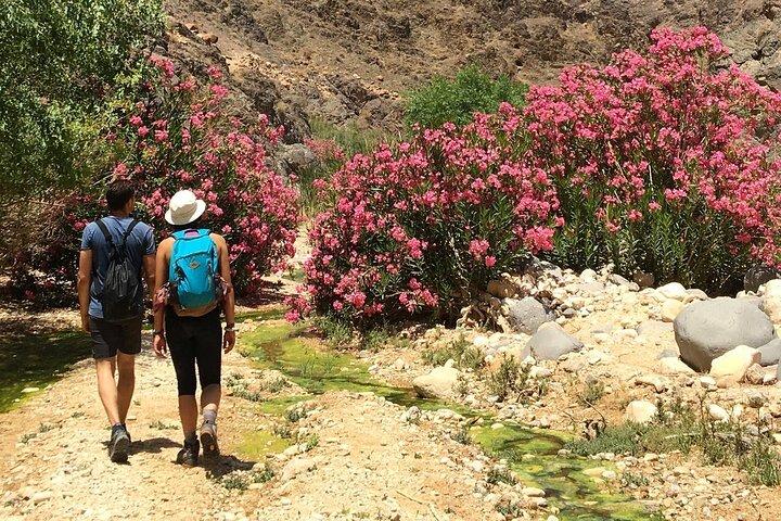 Wadi Al Ghuweir - Guided hike through a spectacular canyon with water