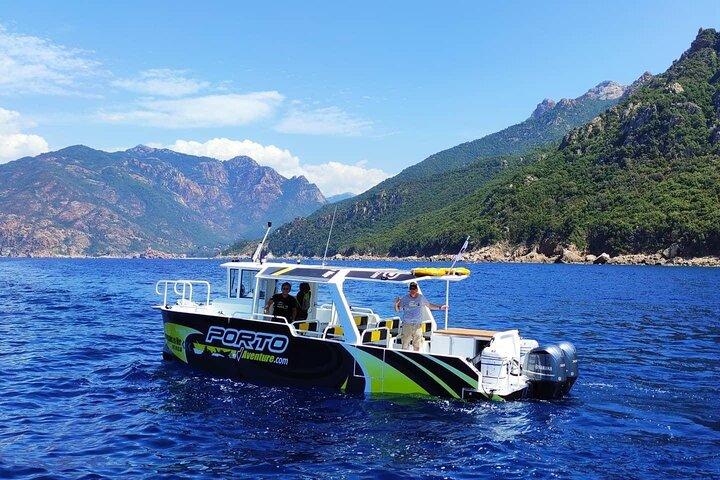 Calanches de Piana and Scandola Reserve cruise with swimming stop