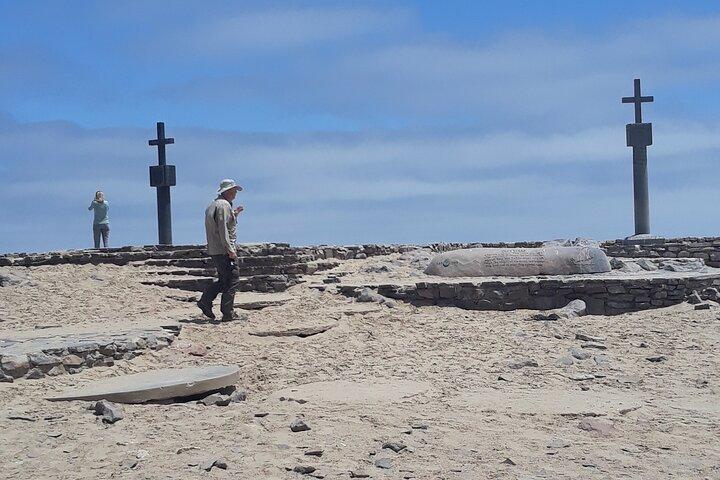 Skeleton Coast Cape Cross Seal colony Tour