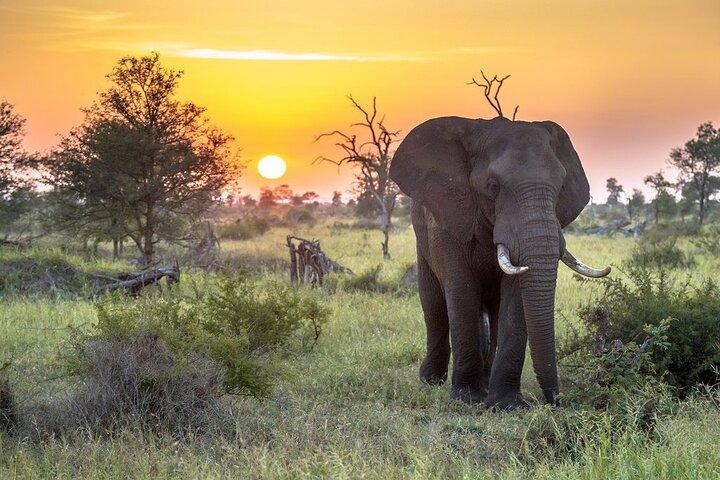 3 Day Kruger National Park Safari & Panorama Route 