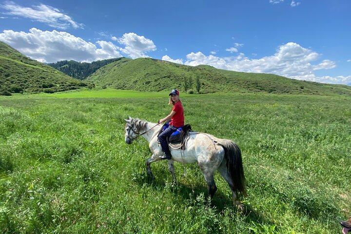 A superb horse riding in Chon Kemin valley, 1 day