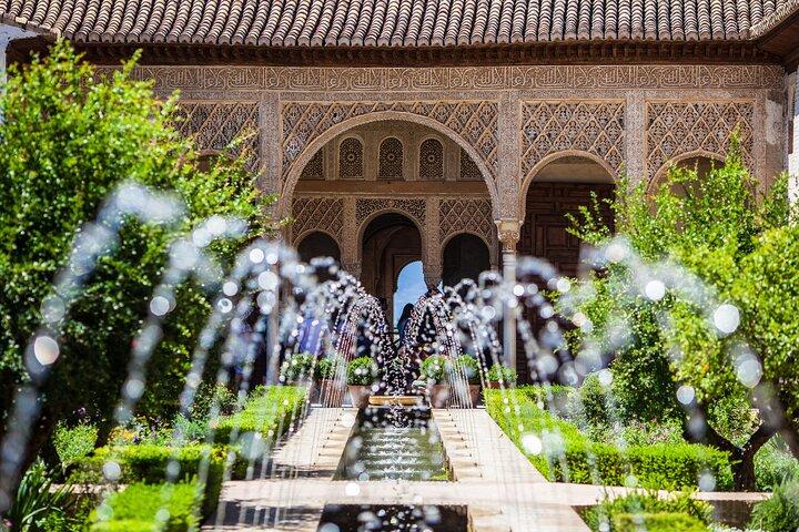 Alhambra with Nazaries Palaces Private Tour 