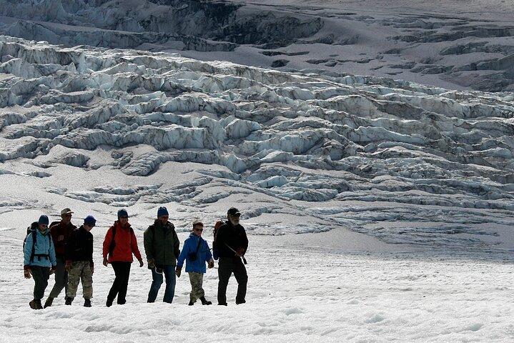 Full Day Guided Glacier Hike on The Athabasca with IceWalks