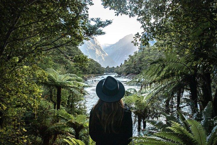 Milford Track Day Walk