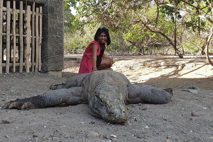 3-Day Komodo island Tour with or without Roundtrip Flight From Bali