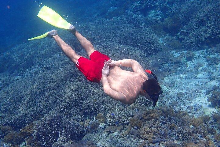 From Lembongan: Snorkeling Day Trip to Nusa Lembongan & nusa Penida island