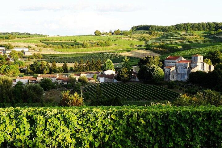 Half-day Guided E-Bike Ride to Discover The Cognac Vineyard
