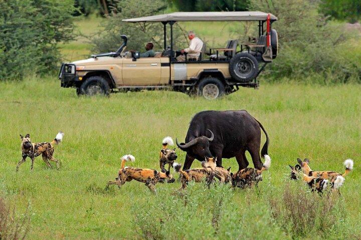 5 Days Ruaha National Park Safari