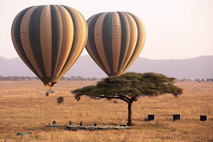 Extraordinary Hot air Bolloon ride in Serengeti | BURIGI CHATO SAFARIS CO L.T.D