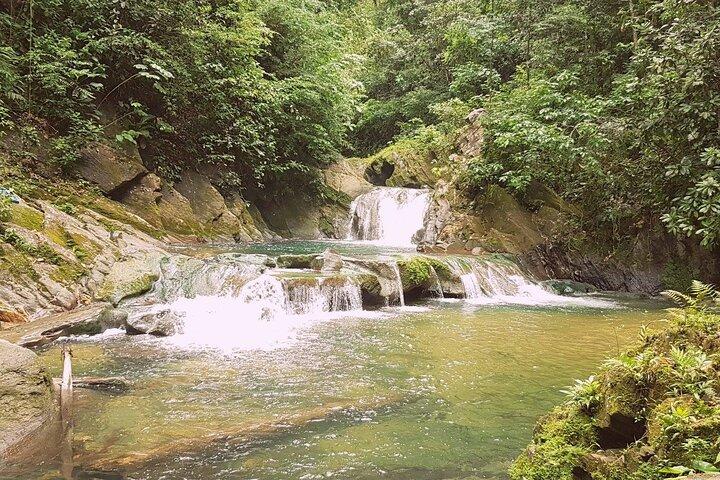 Aripo Waterfall Adventure