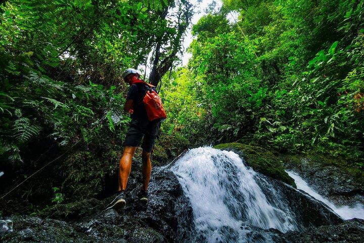 Jungle Hike with Canyoning and Rappelling in Drake Bay