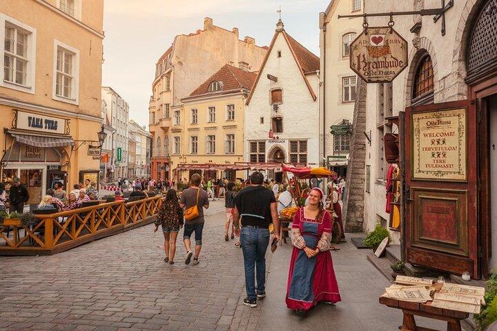 Tallinn Old Town Walking Tour & Free time (Depart from Tallinn Port)