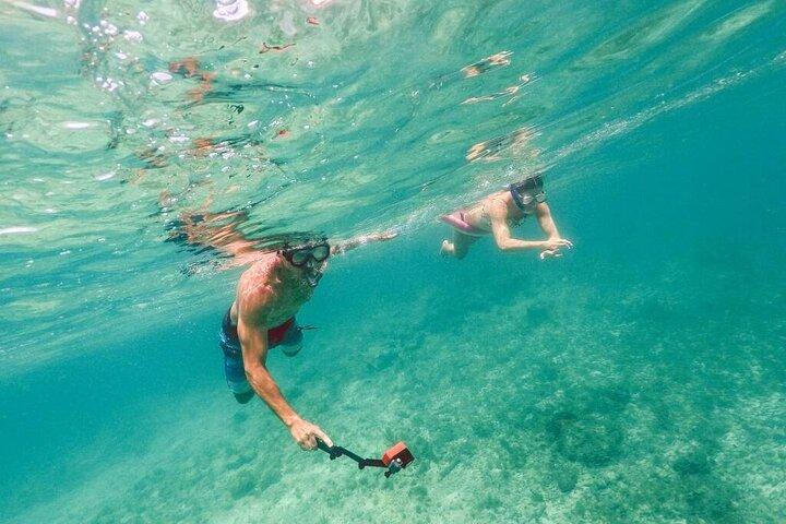 Admission Ticket to Coral World & Coki Point Beach with Snorkeling