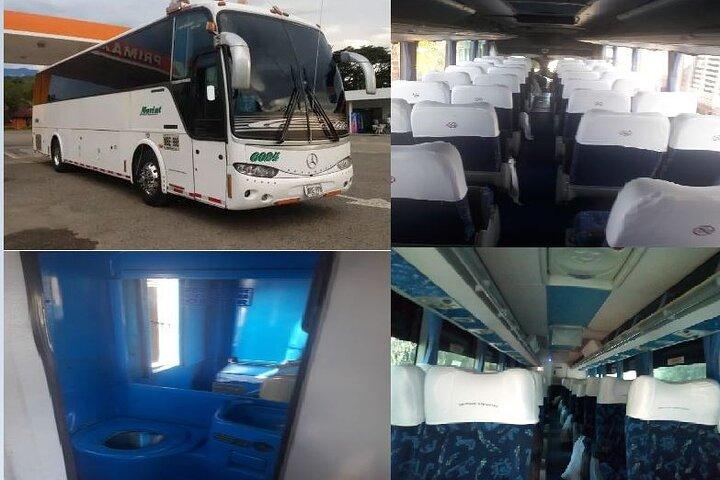 transportation services in buses and van of various quotas full availability