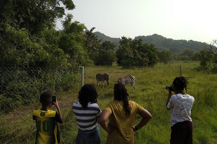 Half-day Accra Safari Tour