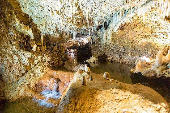 Harrison's Cave Tour in Barbados