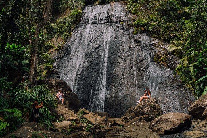 Half-Day El Yunque National Forest Tour from San Juan