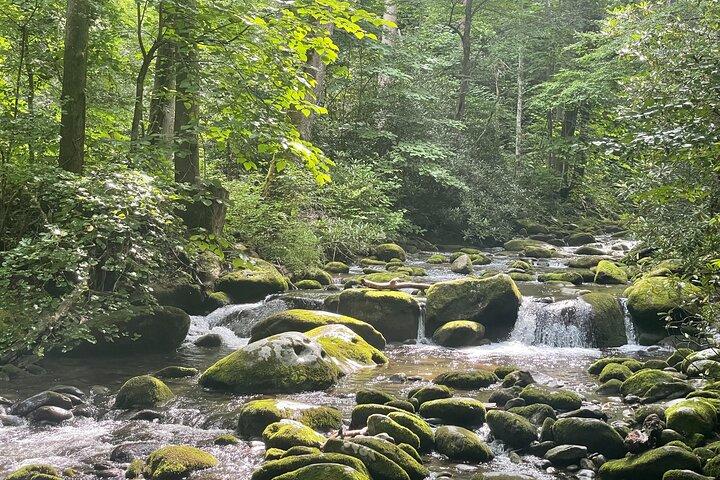 Smoky Mountains Roaring Fork Guided Sightseeing Tour by Jeep