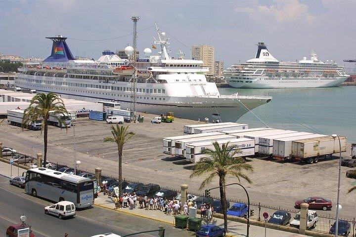 Private Day Trip from Cadiz port to Seville (tickets and transport included)