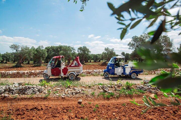 Private Tuk Tuk Tour of the Millenary Olive Groves in Ostuni