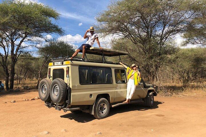  3 Days Tarangire, Manyara & Ngorongoro Joining Group Safari Tour Tanzania 