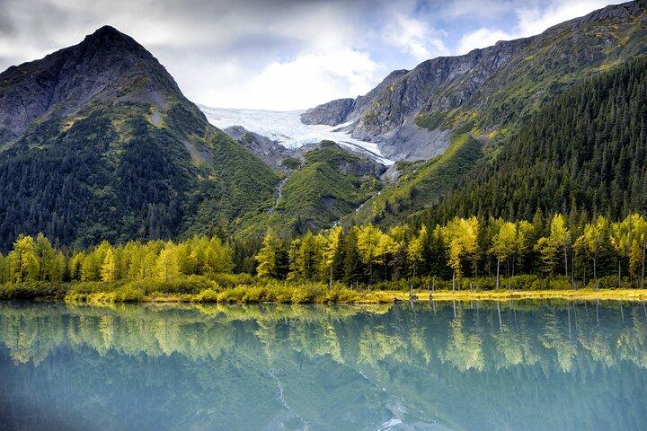 Valley of Glaciers Experience with Portage Glacier Cruise and Wildlife Tour