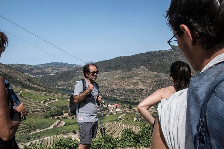Douro Valley Private Hike&Picnic