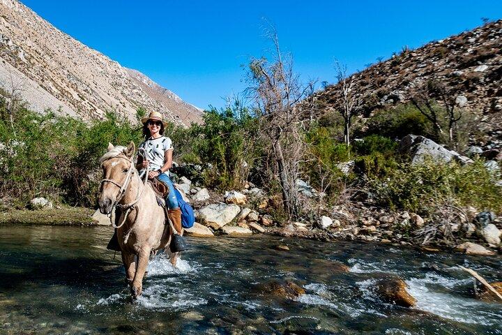 Horseback riding river and mountain range