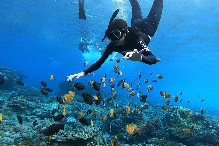 One Day Nusa Penida Island West with Snorkeling