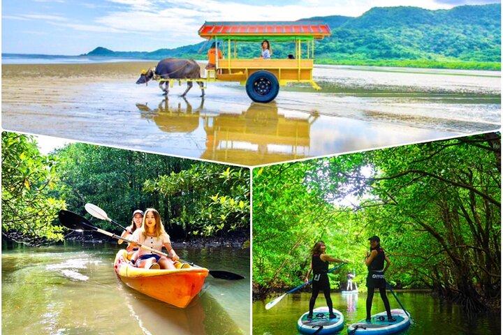 [Iriomote]SUP/Canoe tour + Sightseeing in Yubujima island