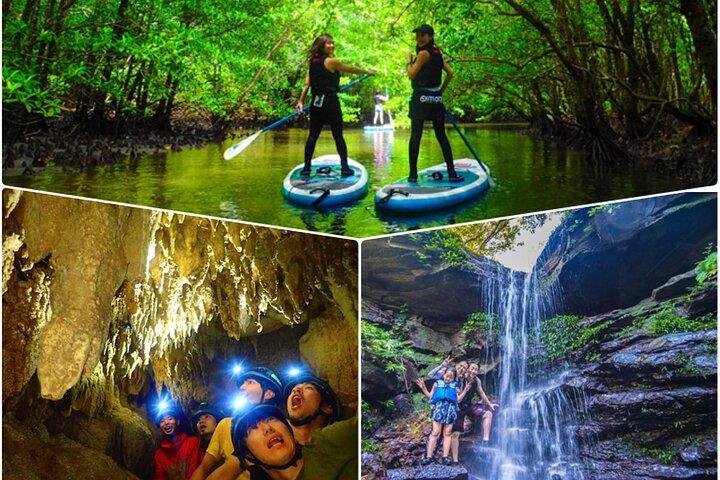 Iriomote SUP/Canoe in a world heritage&limestone cave exploration