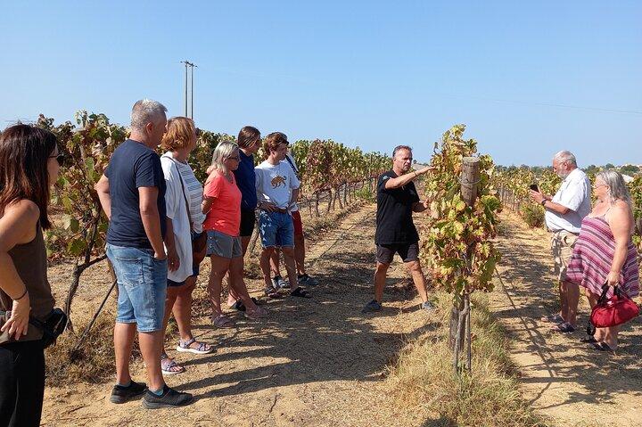 Albufeira Tour: Winery Wine and Tapas Boards