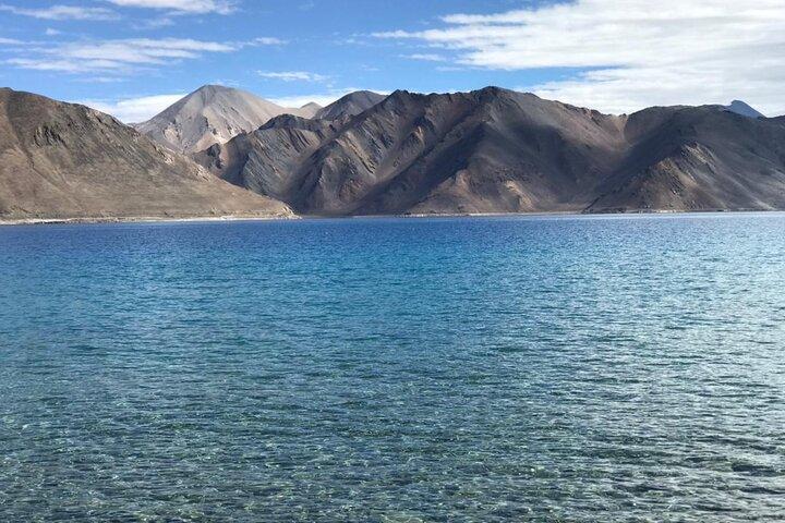 Pangong Delights: A Memorable Day Excursion from Leh