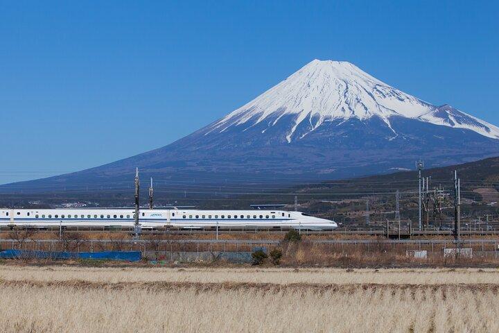 Mt. Fuji and Hakone Day Trip From Tokyo with Bullet Train Option