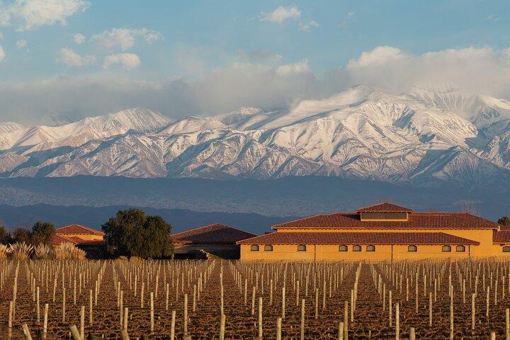 Wine Tour with Lunch and Transport in Mendoza