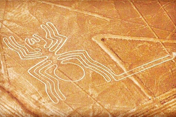 Private Tour to the Astonished Nazca Lines and Huacachina Oasis
