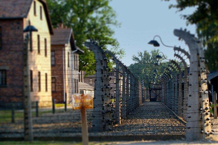Auschwitz & Birkenau Live Guide Tour Entrance Ticket