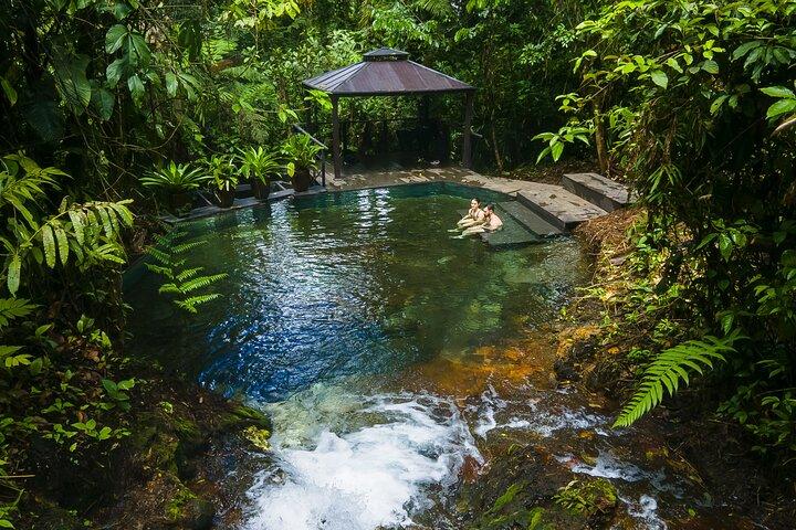 Sensoria: Luxury Rainforest Land of Senses Walking and Thermals Tour