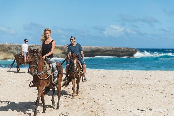 Horseback Riding Wariruri Beach Tour in Aruba