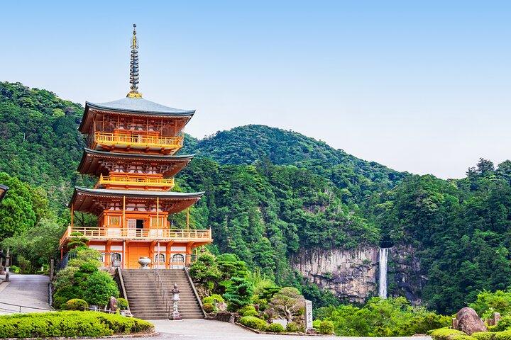 Kumano Kodo Pilgrimage Tour with Licensed Guide & Vehicle