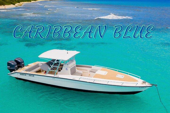 Caribbean Blue Charters - Full Day Boat Charter - 35' Marlin Power Boat