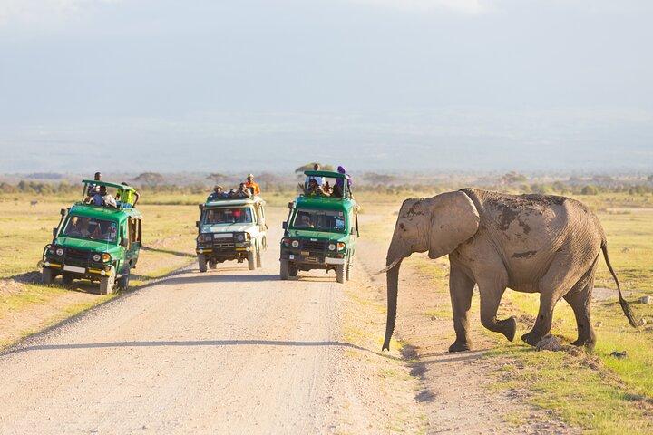 3 Days Tarangire, Manyara & Ngorongoro Budget Lodge Safari Tour Tanzania