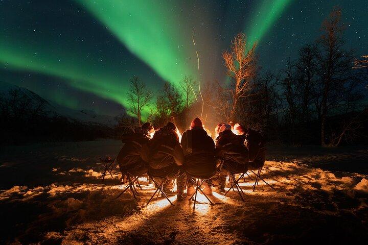 Northern Lights by Minibus. Photos Under the Lights included. Tromso