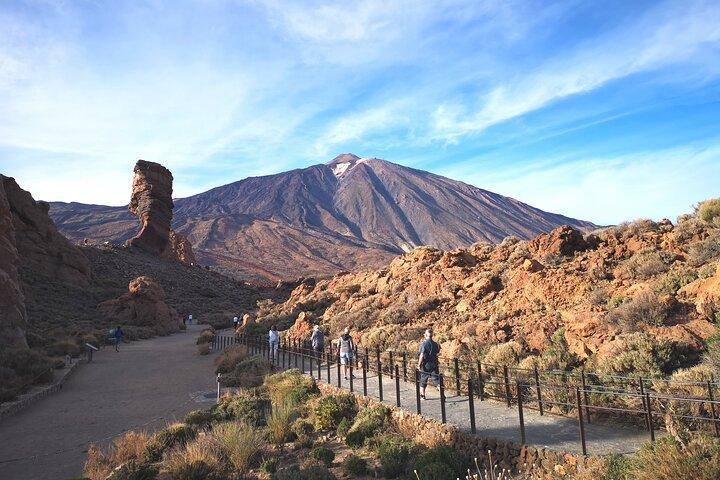 Small Group Teide National Park Volcanic and Forest Wonders