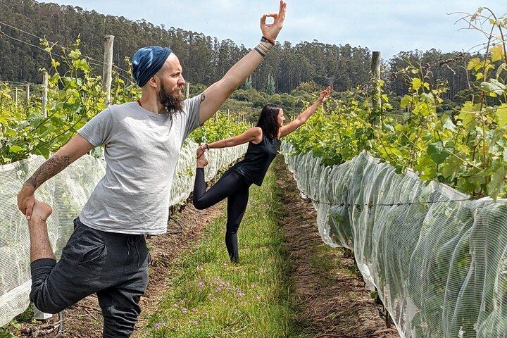 Yoga in vineyards and Brunch