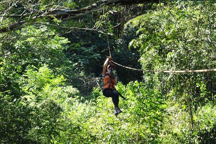Costa Rica Monkey Jungle Zipline from Tamarindo
