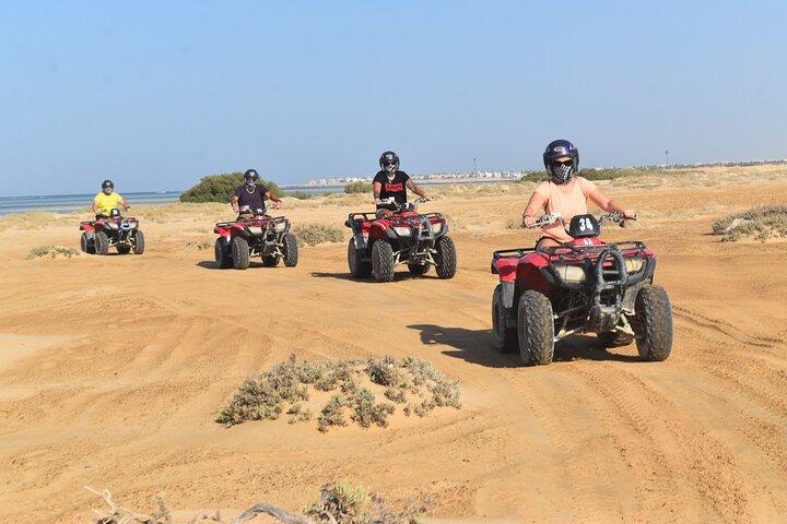Safari Morning or Afternoon 3 Hours tour By ATV Quad and Camel Ride - Marsa Alam