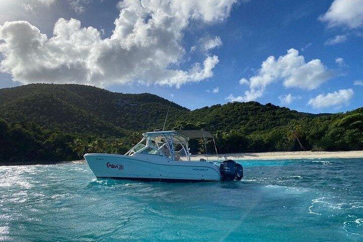 USVI Private Charter aboard Coqui - Up to 8 guests