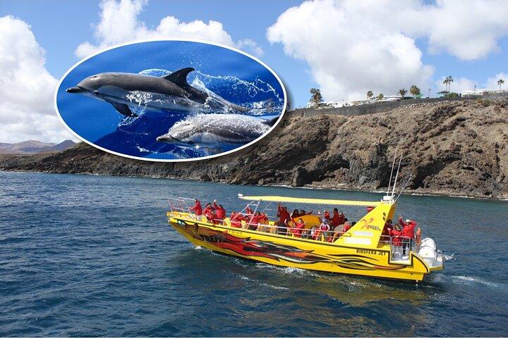 Dolphin Watching Mini Cruise and Snorkeling from Lanzarote